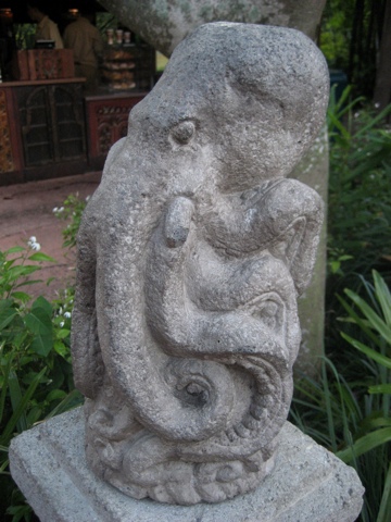 20110528-105941.jpg