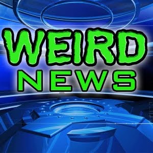 weird news